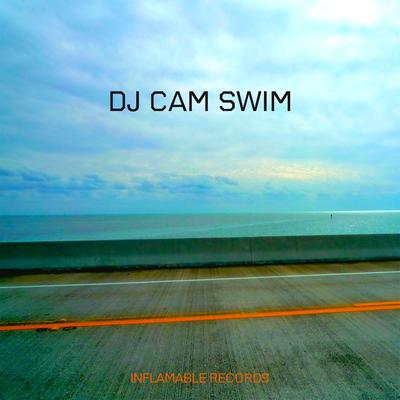 Swim By DJ Cam, Chris James's cover