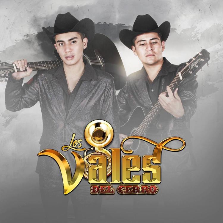 Los Vales Del Cerro's avatar image