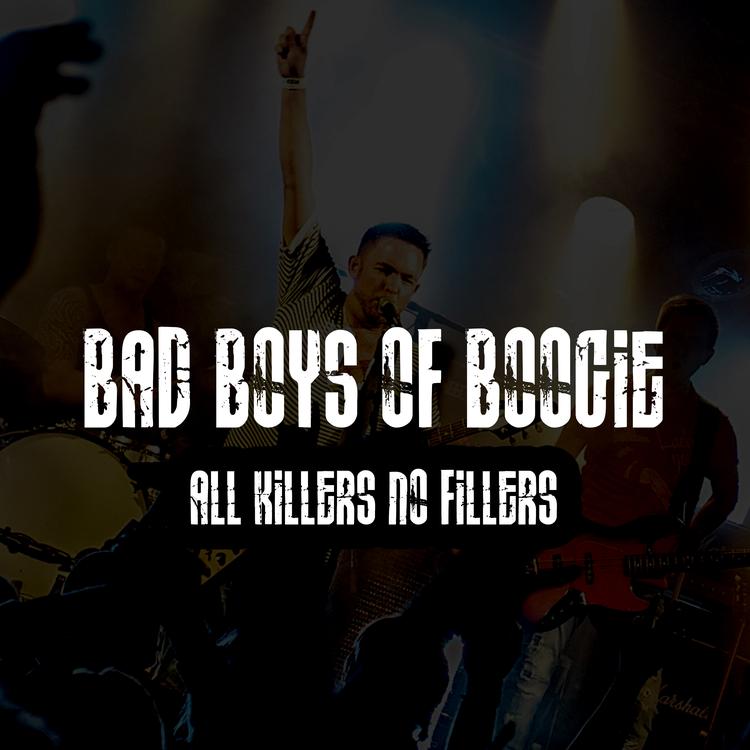 Bad Boys of Boogie's avatar image