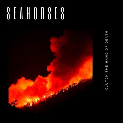 Seahorses's cover