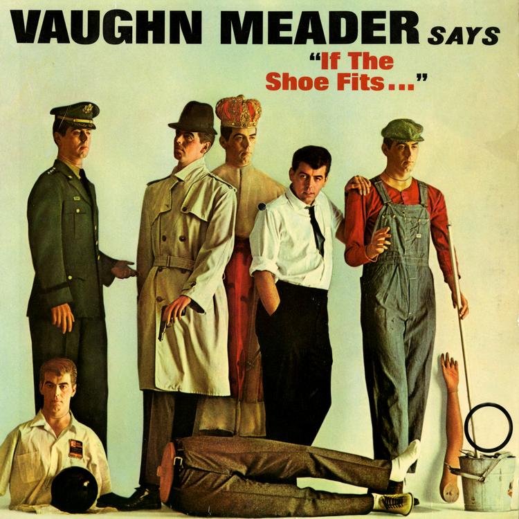 Vaughn Meader's avatar image