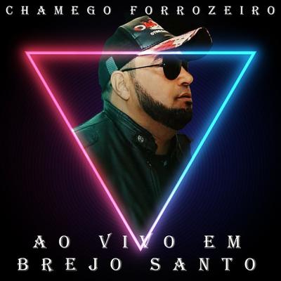 Chamego Forrozeiro's cover