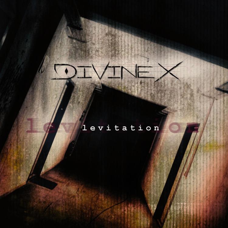 Divine X's avatar image