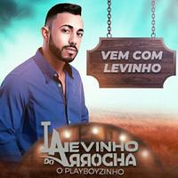 LEVINHO DO ARROCHA's avatar cover