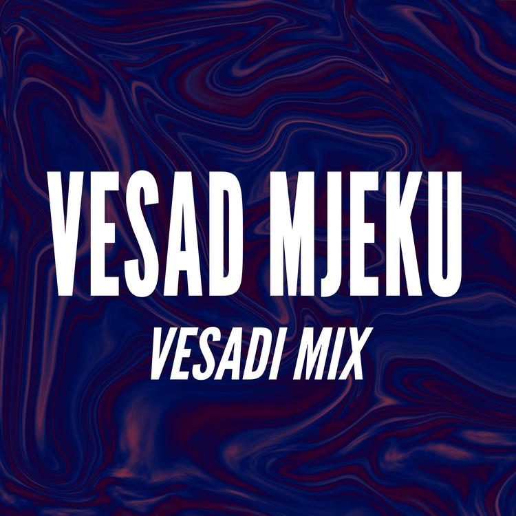 Vesad Mjeku's avatar image