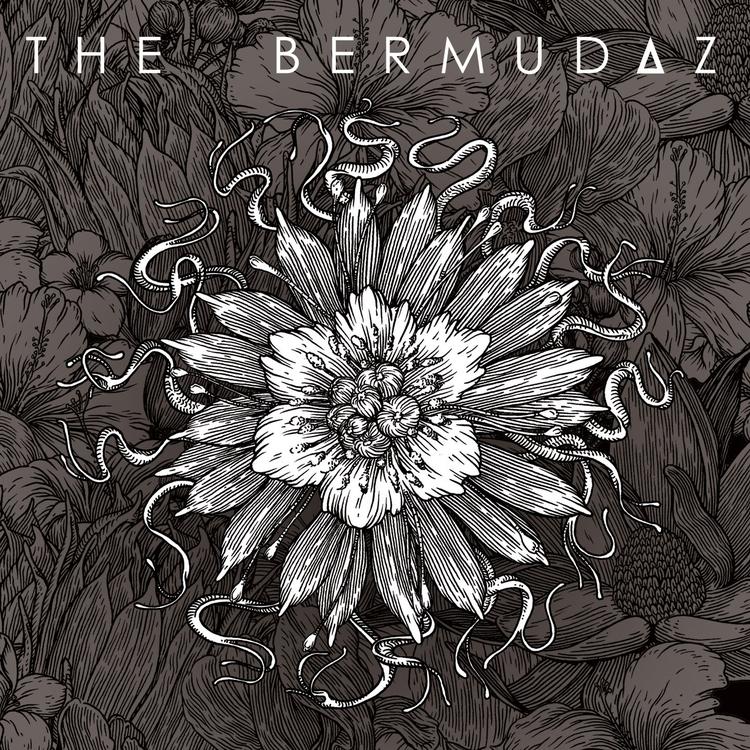 The Bermudaz's avatar image