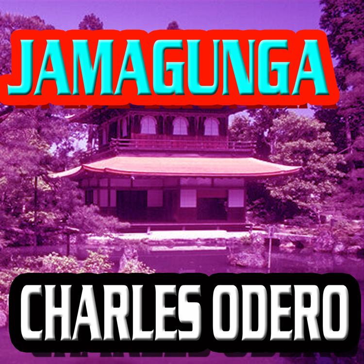 Charles Odero's avatar image