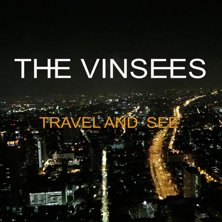 THE VINSEES's avatar image