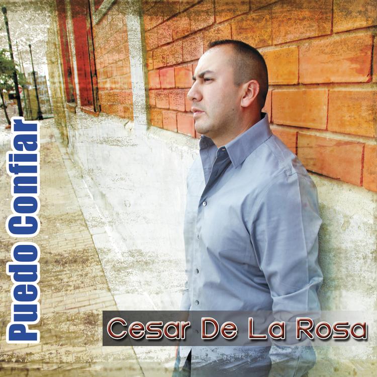 Cesar De La Rosa's avatar image