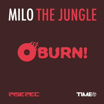 Jungle of Mirror By Milo's cover