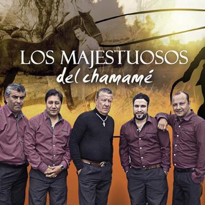 Los Majestuosos Del Chamamé's cover