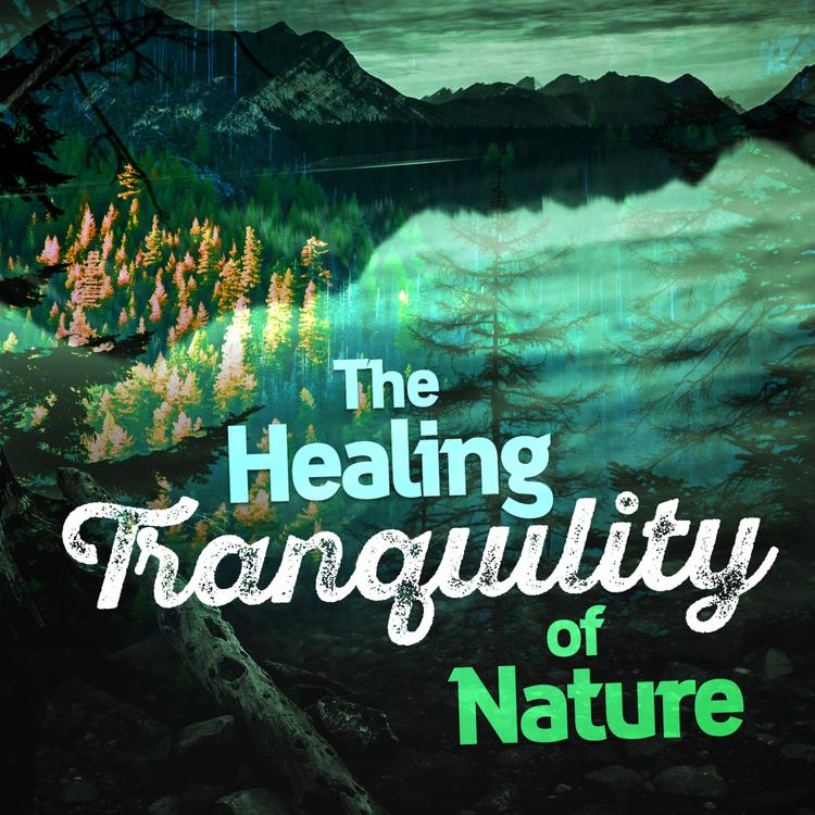 The Healing Sounds of Nature's avatar image