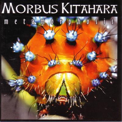At the End of a Journey (Sabotage Remix) By Morbus Kitahara, Sabotage's cover