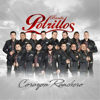 Banda Potrillos's cover