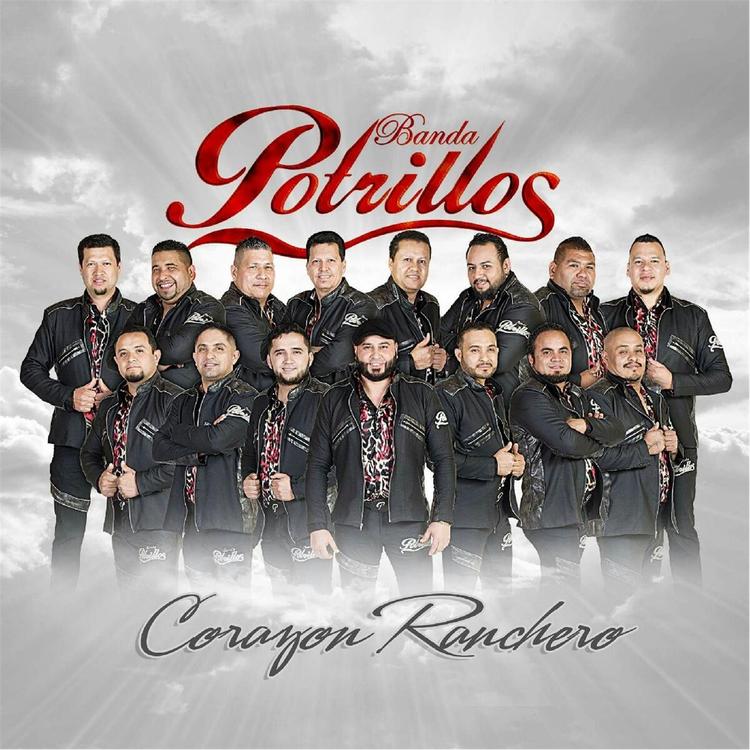 Banda Potrillos's avatar image