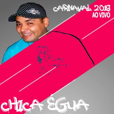 Novinha da Zona Sul (Ao Vivo) By Chica Égua's cover