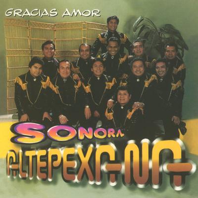 La Sonora Altepexana's cover