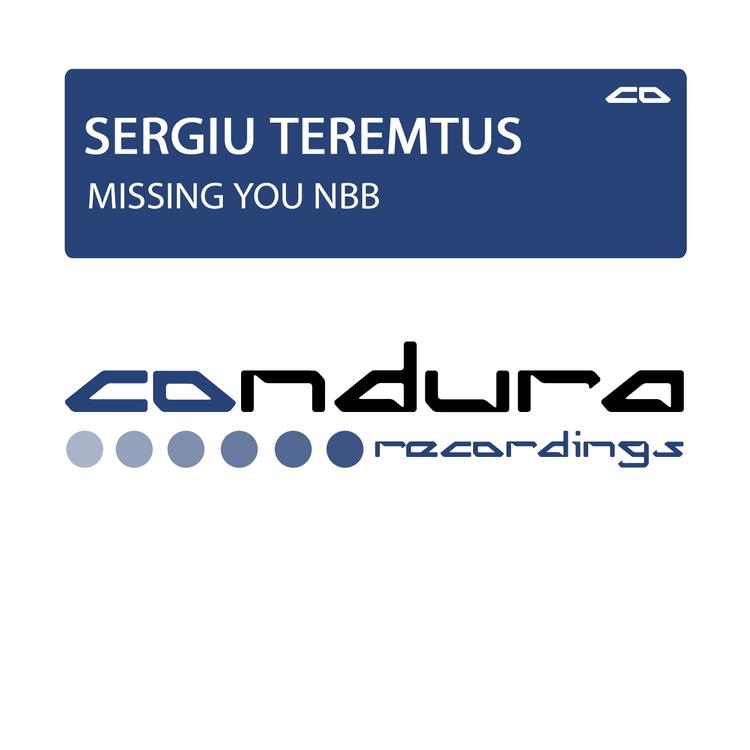 Sergiu Teremtus's avatar image