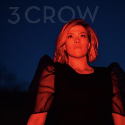 3 Crow By Liz Longley's cover