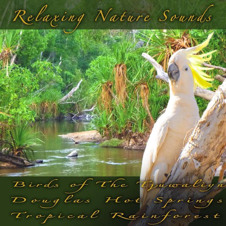 Relaxing Nature Sounds's avatar image