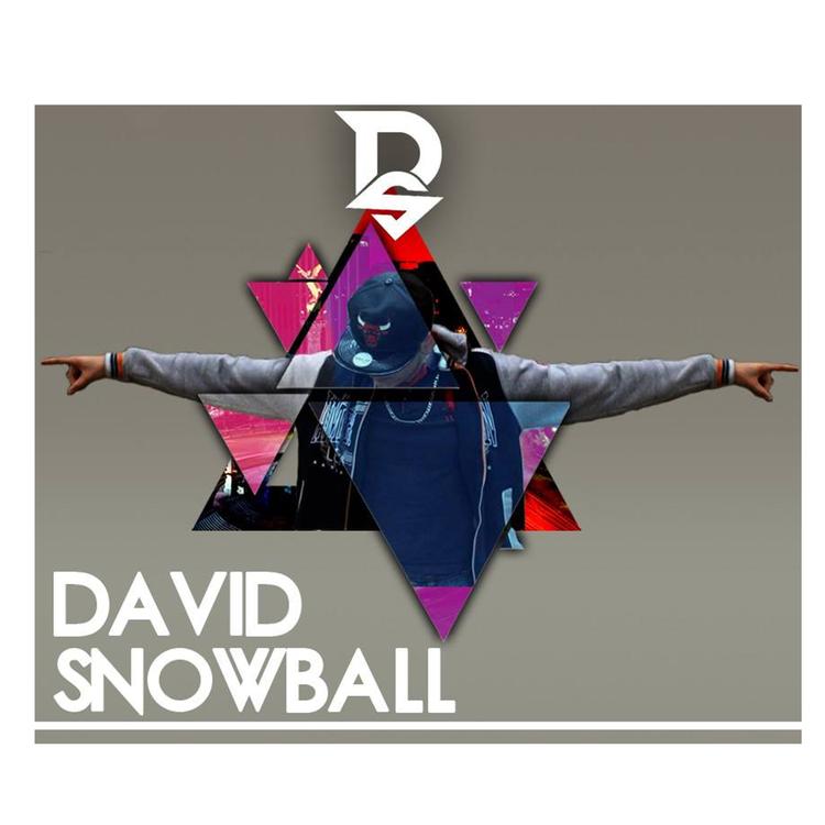 David Snowball's avatar image