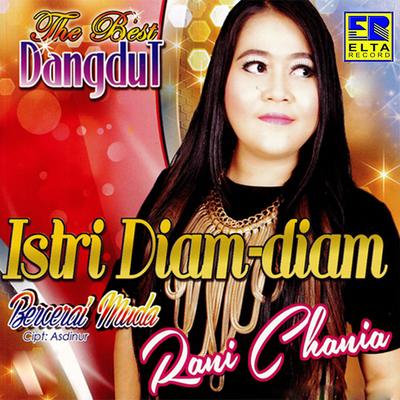 Istri Diam Diam's cover