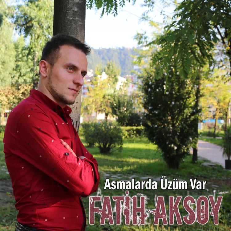 Fatih Aksoy's avatar image