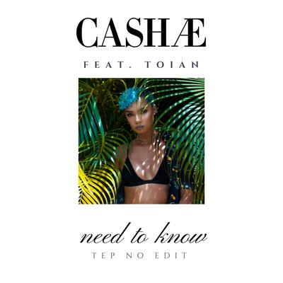 Need to Know (Tep No Edit) By Cashae, Toian, Tep No's cover