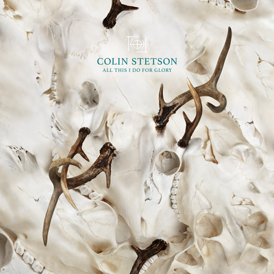 Like wolves on the fold By Colin Stetson's cover
