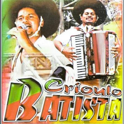 Fandangueiro By Crioulo Batista's cover
