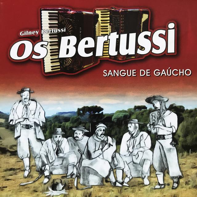Gilney Bertussi & Os Bertussi's avatar image