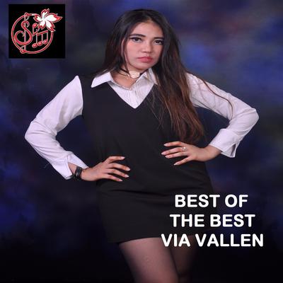 Best Of The Best Via Vallen's cover