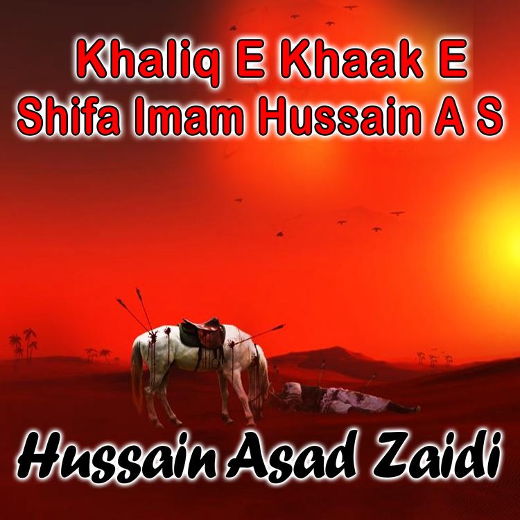 Hussain Asad Zaidi's avatar image