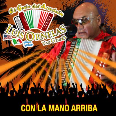 Luis Ornelas y su Grupo's cover