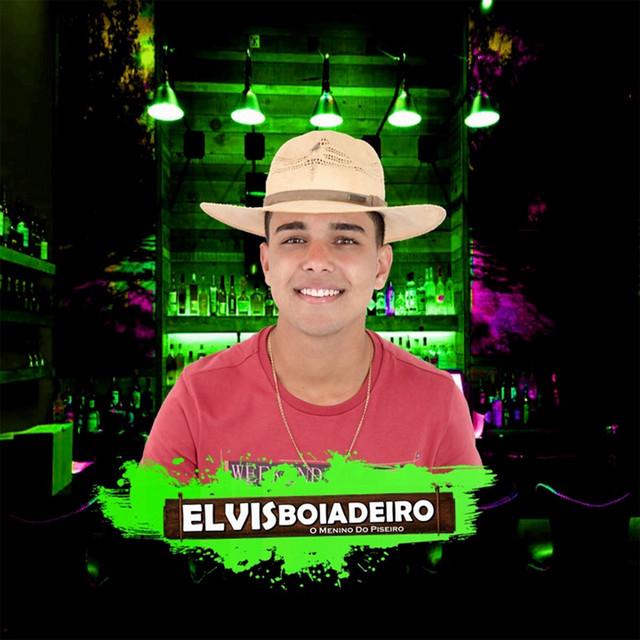 Elvis Boiadeiro's avatar image