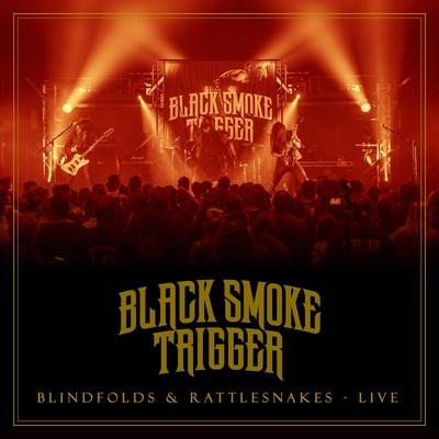 Blindfolds & Rattlesnakes (Live) By Black Smoke Trigger's cover