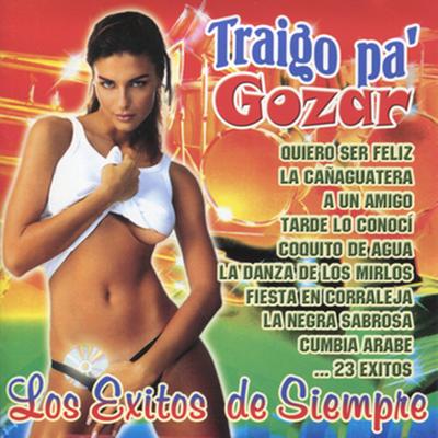 Traigo Pa' Gozar: Los Exitos de Siempre's cover