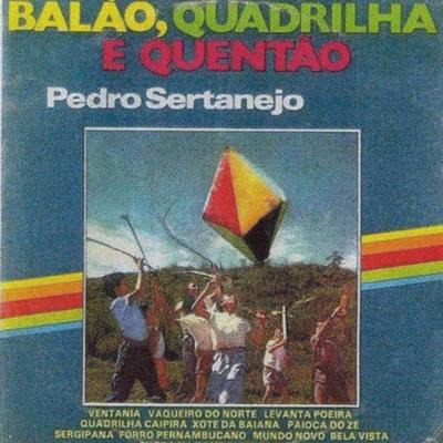 Mundo Novo By Pedro Sertanejo's cover