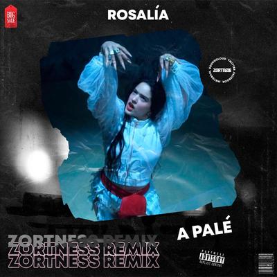 A Palé (Remix)'s cover