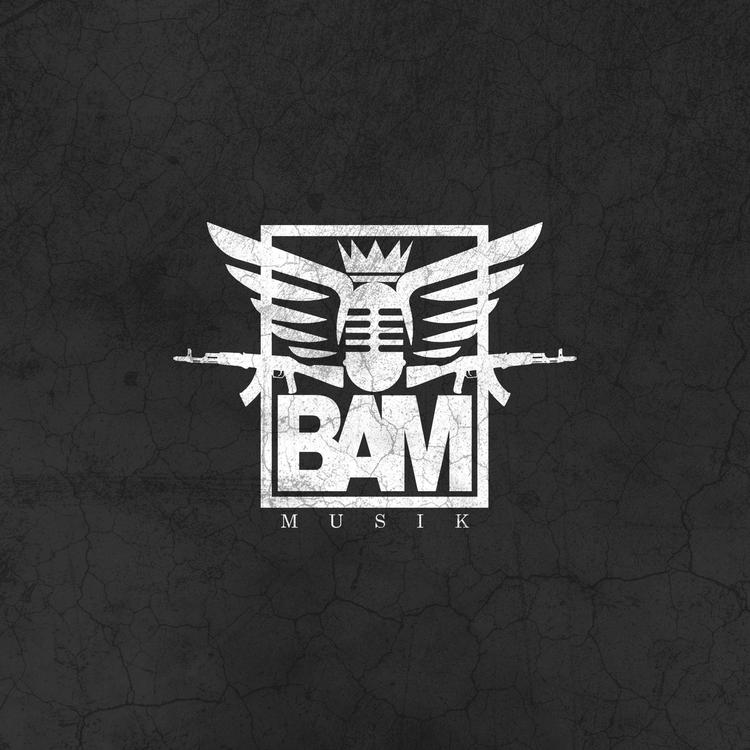 Bam Musik901's avatar image