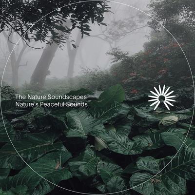 The Nature Soundscapes's cover