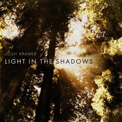 Light in the Shadows's cover