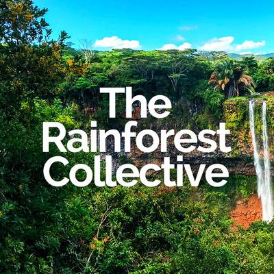The Rainforest Collective's cover
