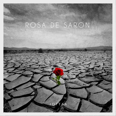 Rosa de Saron's cover