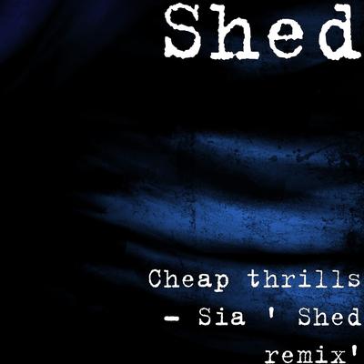 Cheap thrills - Sia ' Shed remix' By Shed's cover
