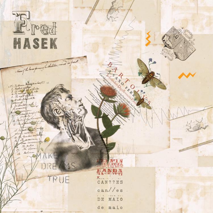 Fred Hasek's avatar image