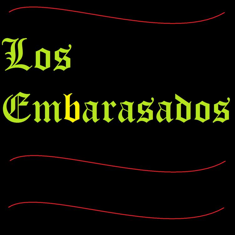 Los Embarasados's avatar image
