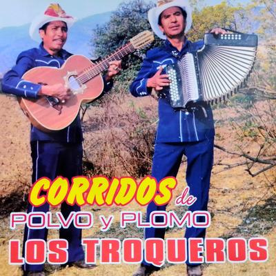 Corridos de Polvo y Plomo's cover