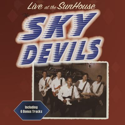 The Sky Devils's cover