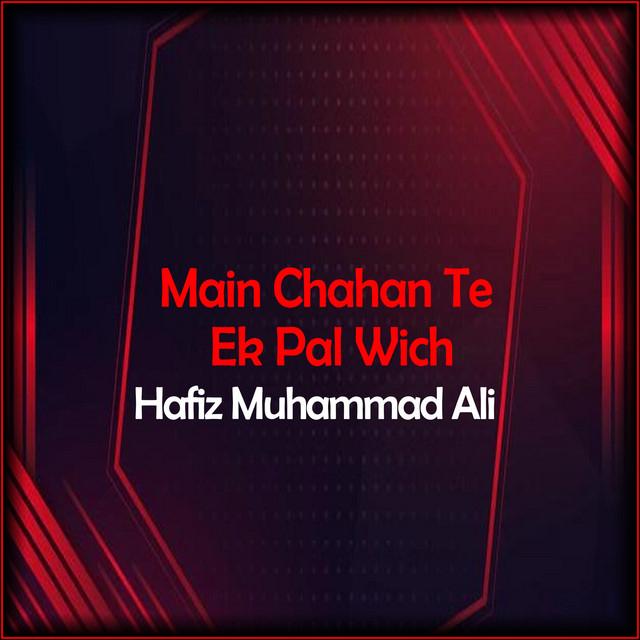 Hafiz Muhammad Ali's avatar image